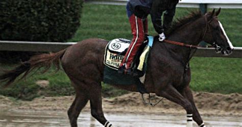 preakness handicappers picks